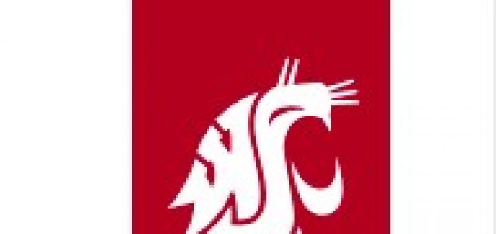 Review on the myWSU student portal Review on the myWSU student portal